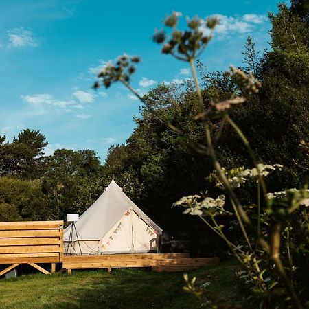 Willow Valley Glamping Bude Eksteriør billede