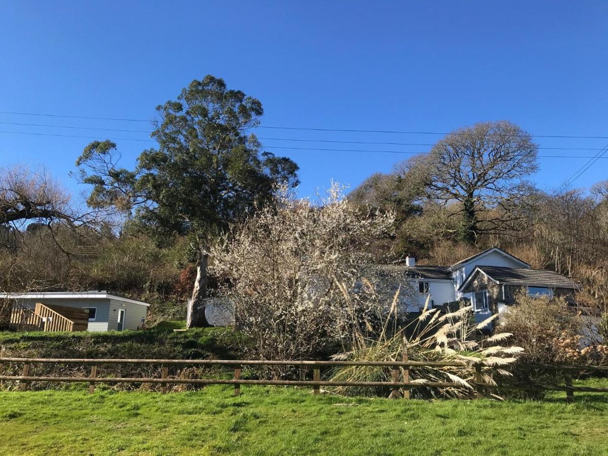 Willow Valley Glamping Bude Eksteriør billede