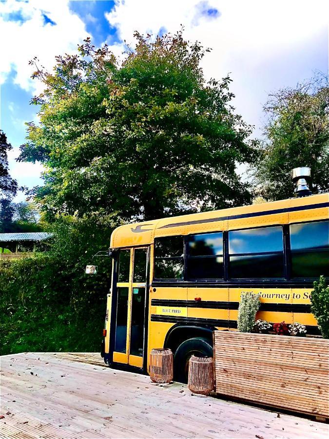 Willow Valley Glamping Bude Eksteriør billede