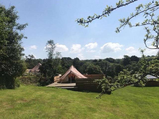 Willow Valley Glamping Bude Eksteriør billede